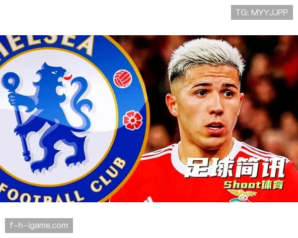 恩佐是否被高价捧高？转会溢价与实战价值差距分析