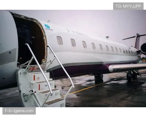 德约科维奇早餐吃金箔配蛋白粉,训练完顺手给私人飞机续了十年停机费 德约科维奇早餐吃金箔配蛋白粉,训练完顺手给私人飞机续了十年停机费